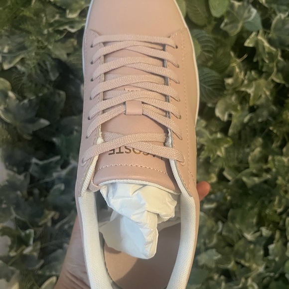 Brand New Lacoste shoe - Picture 4 of 5
